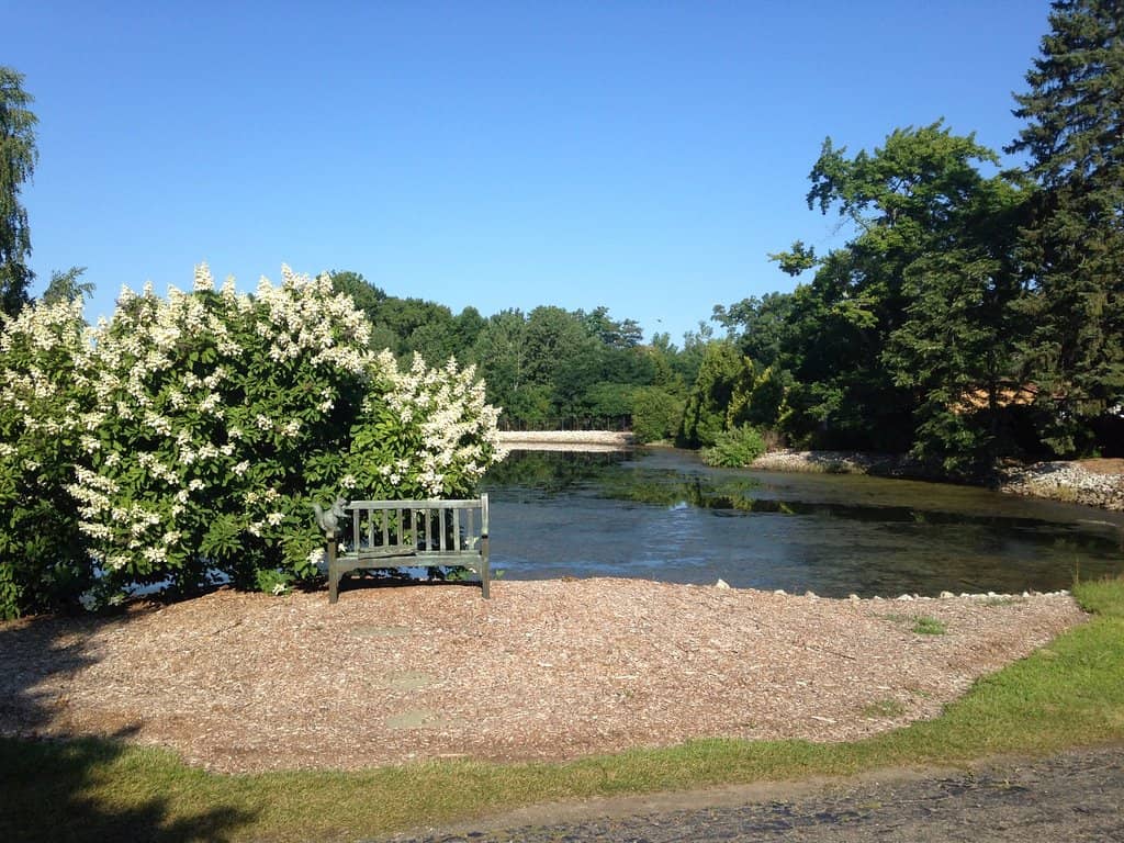 Friendly and Welcoming Staff