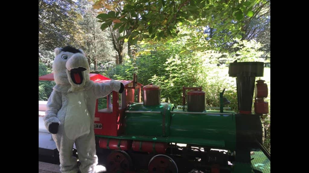 Amusement Park Attractions