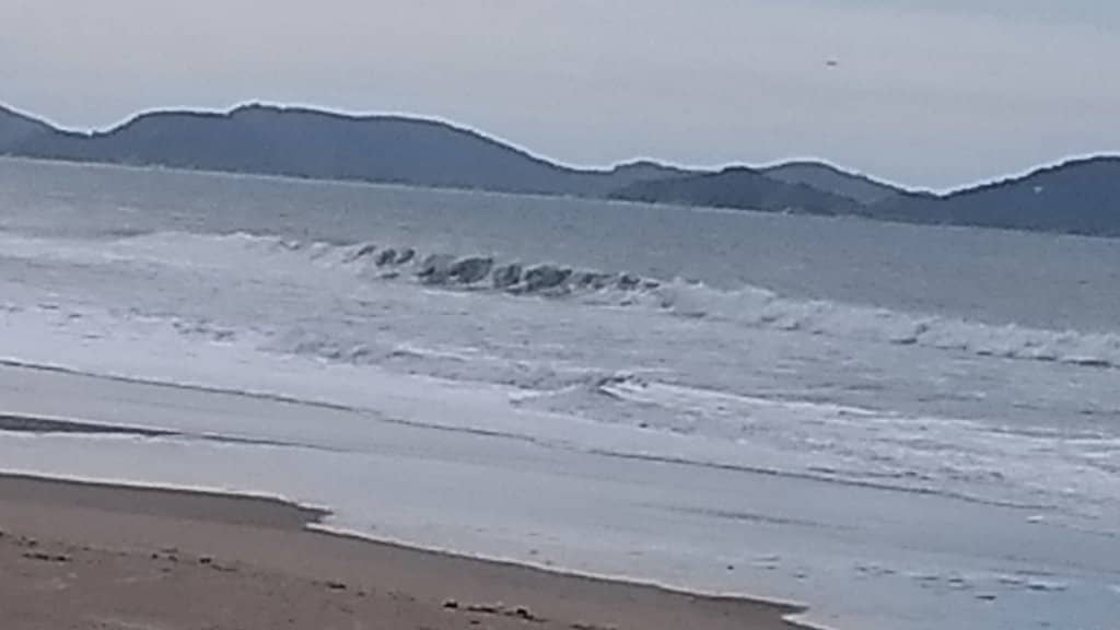 Praia de Palmas