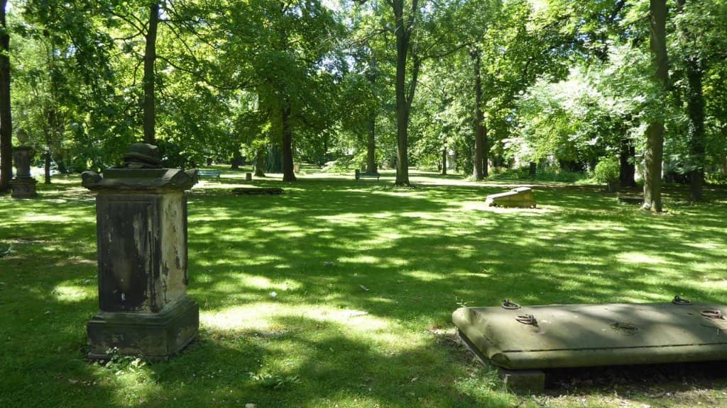 Tranquil Park Setting