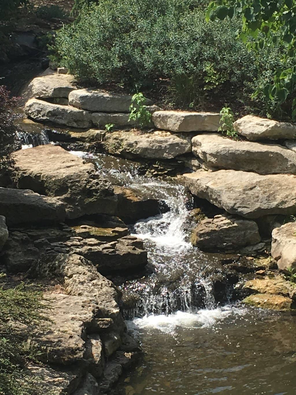 Tranquil Lake Shawnee Shoreline