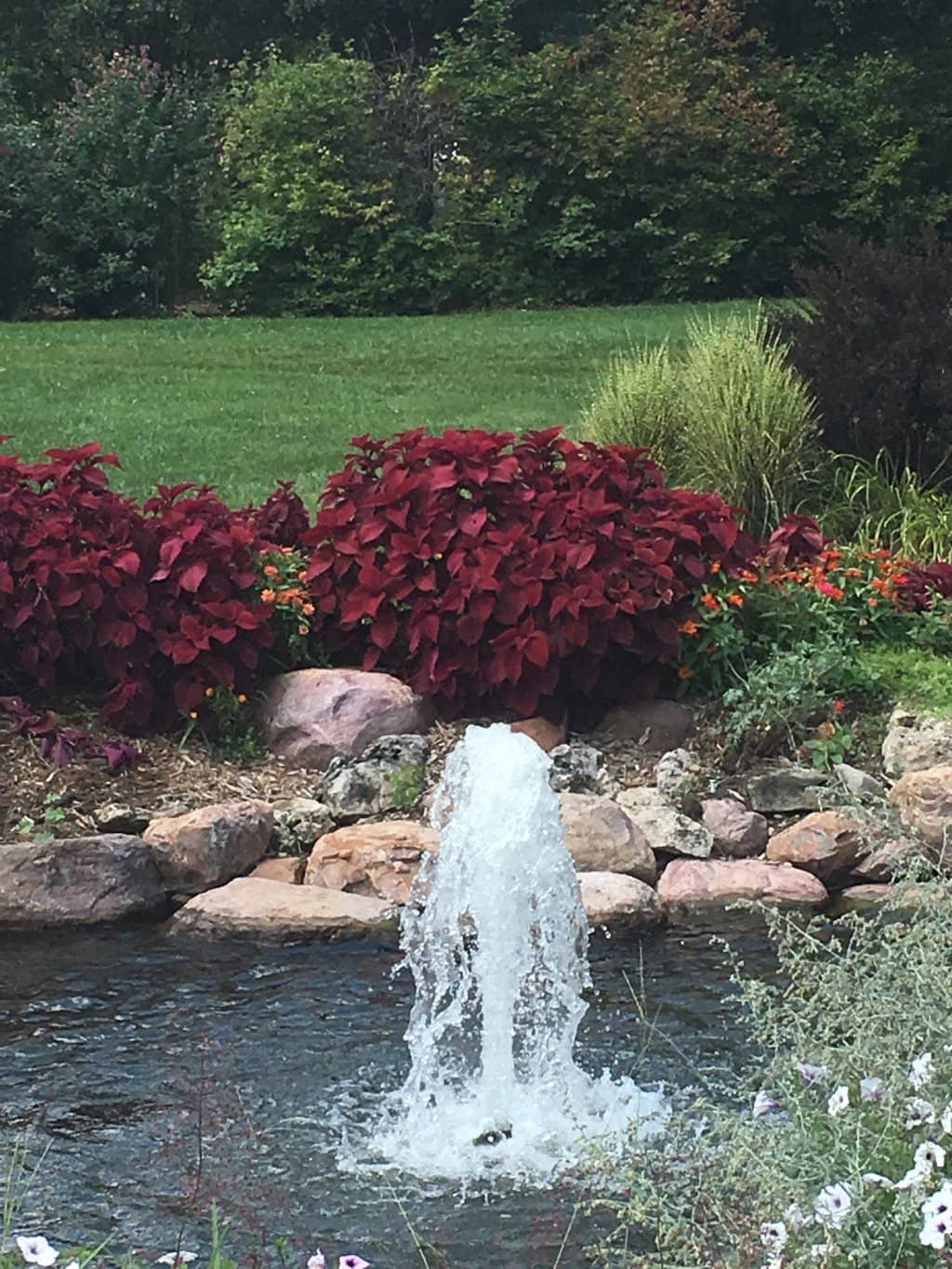 Sculptural Water Features