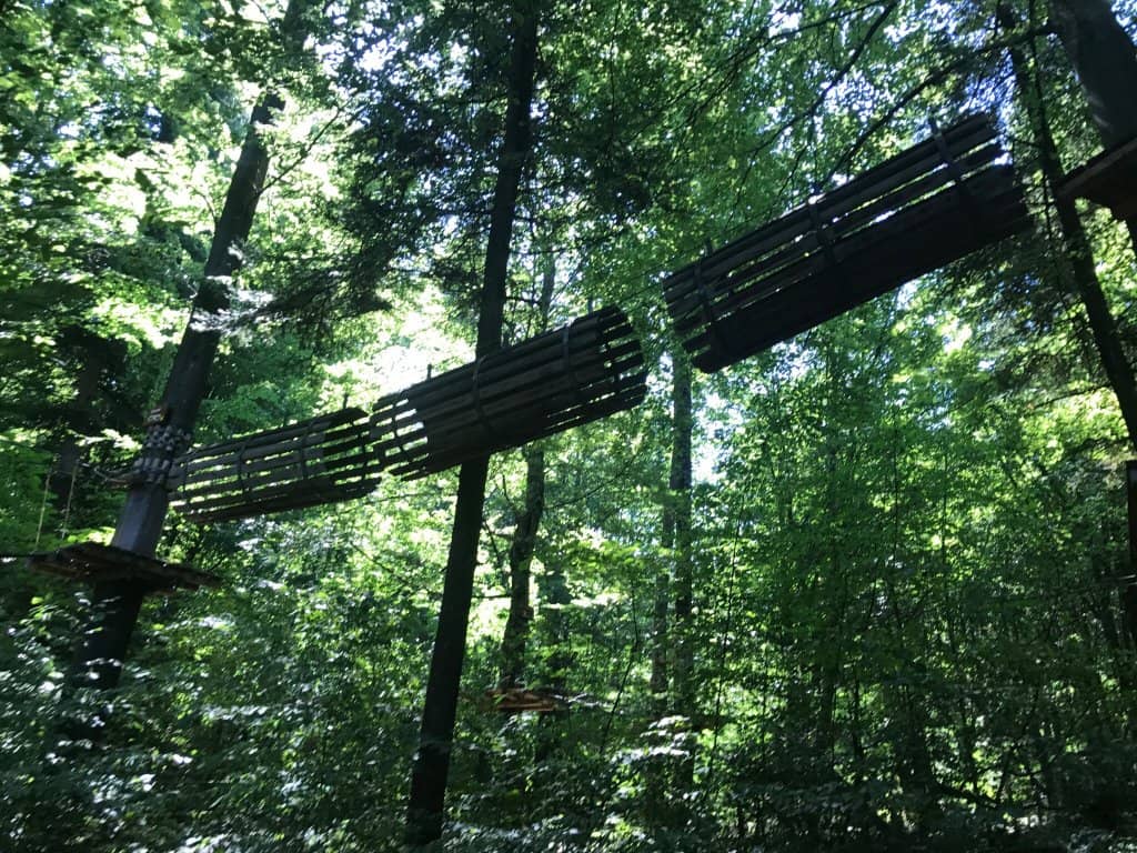 Family-Friendly Beginner Courses