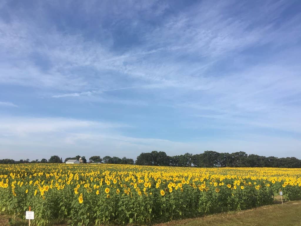 Sunrise/Moonrise Views
