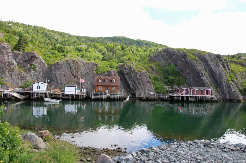 East Coast Trail Access