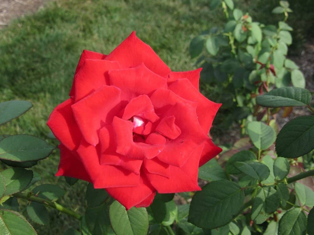 Photography Hotspots