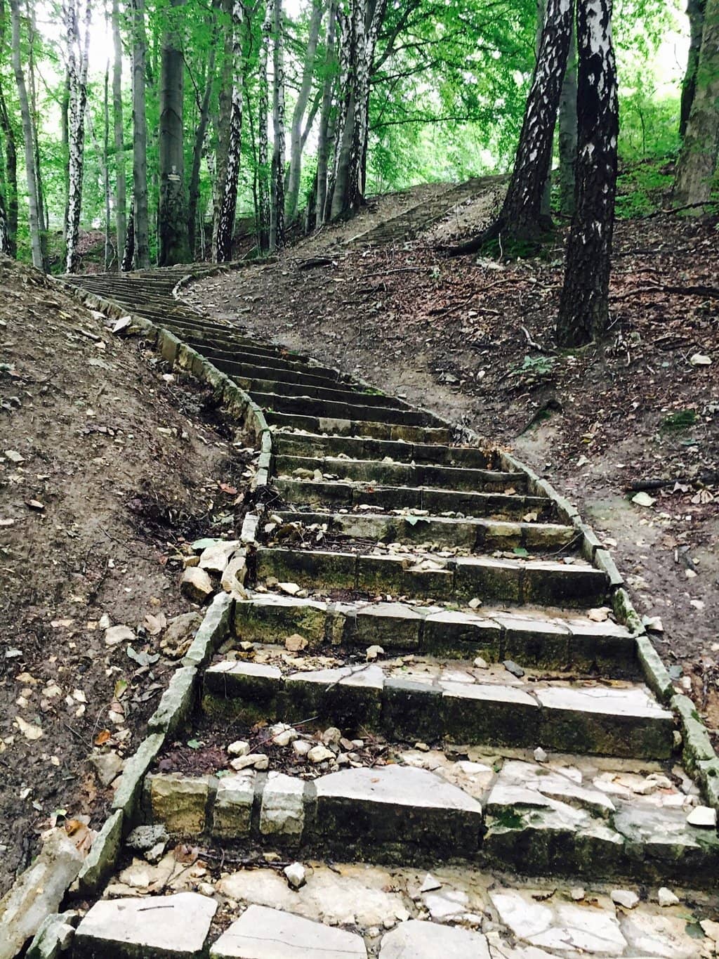 The Basilica of St. Anne