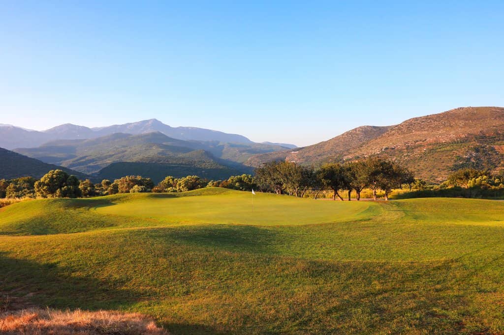Well-Maintained Fairways and Greens