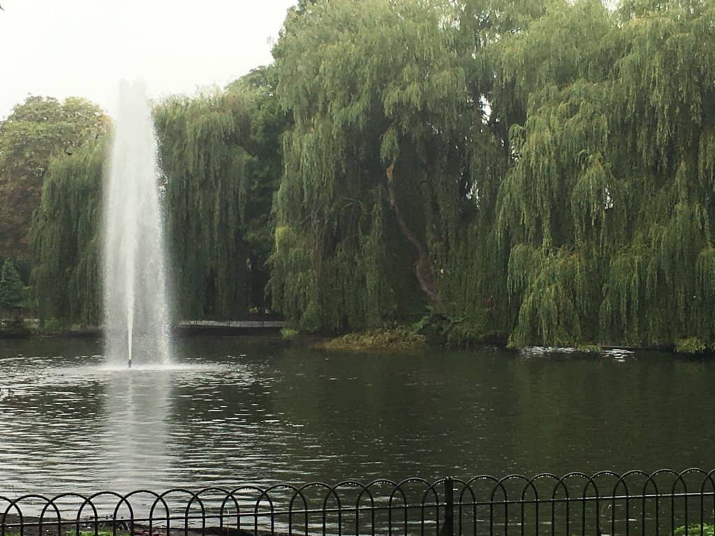 The Serene Lake