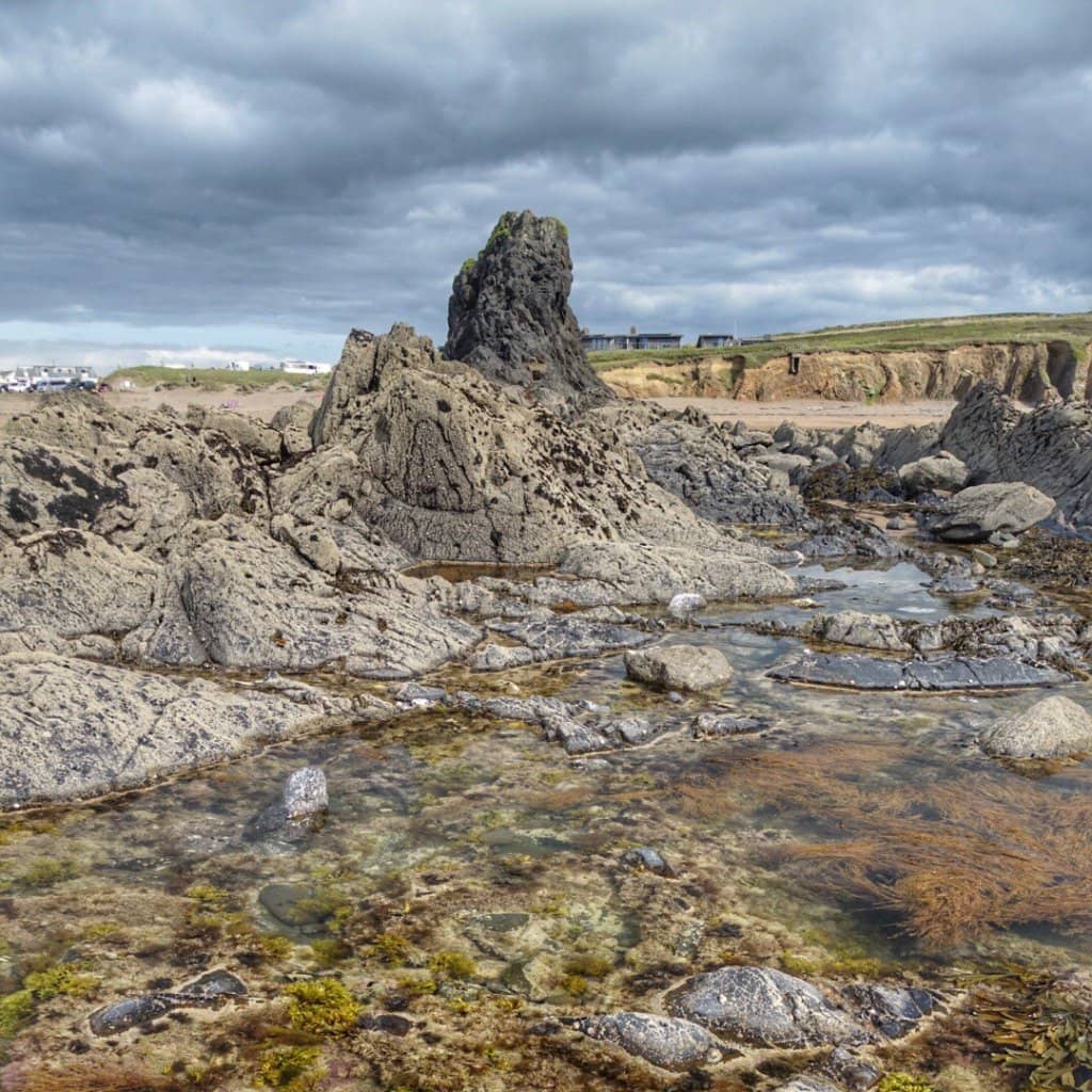 Snorkeling with Sea Turtles