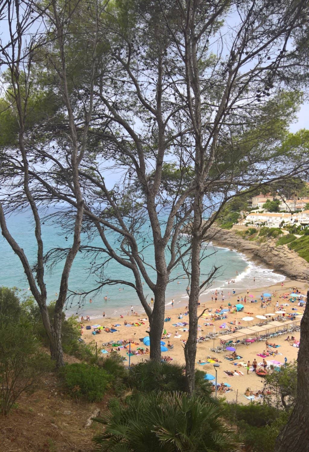 Natural Surroundings