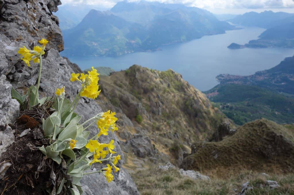 Rifugio Menaggio Stop