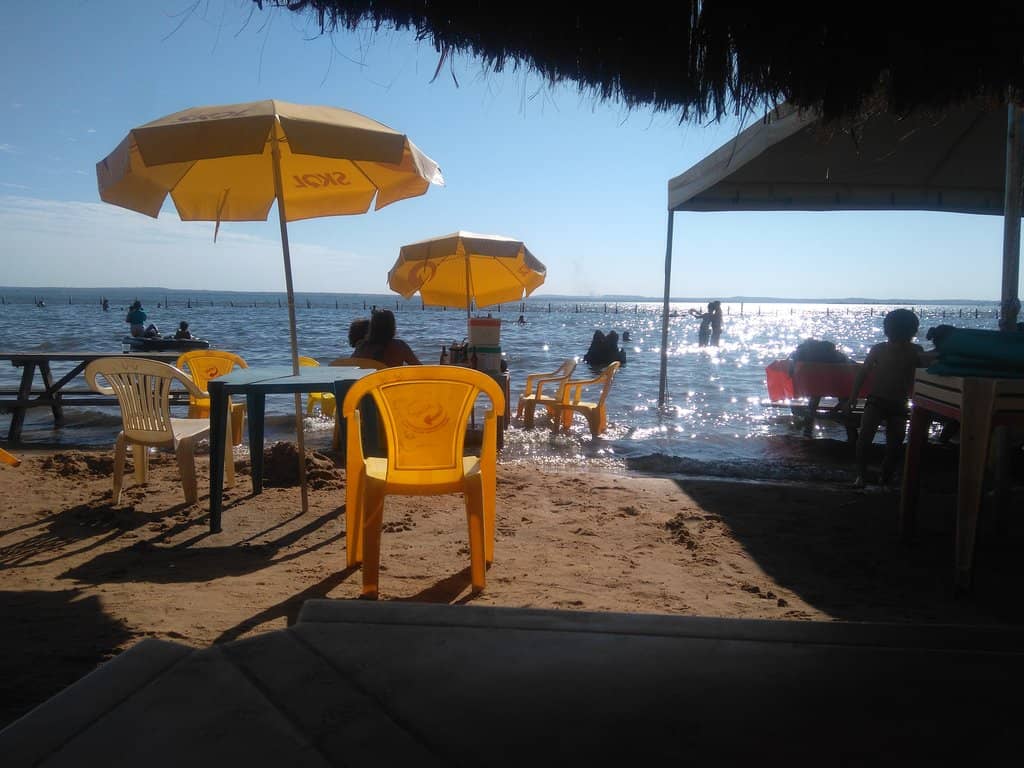 Vibrant Beachfront Dining