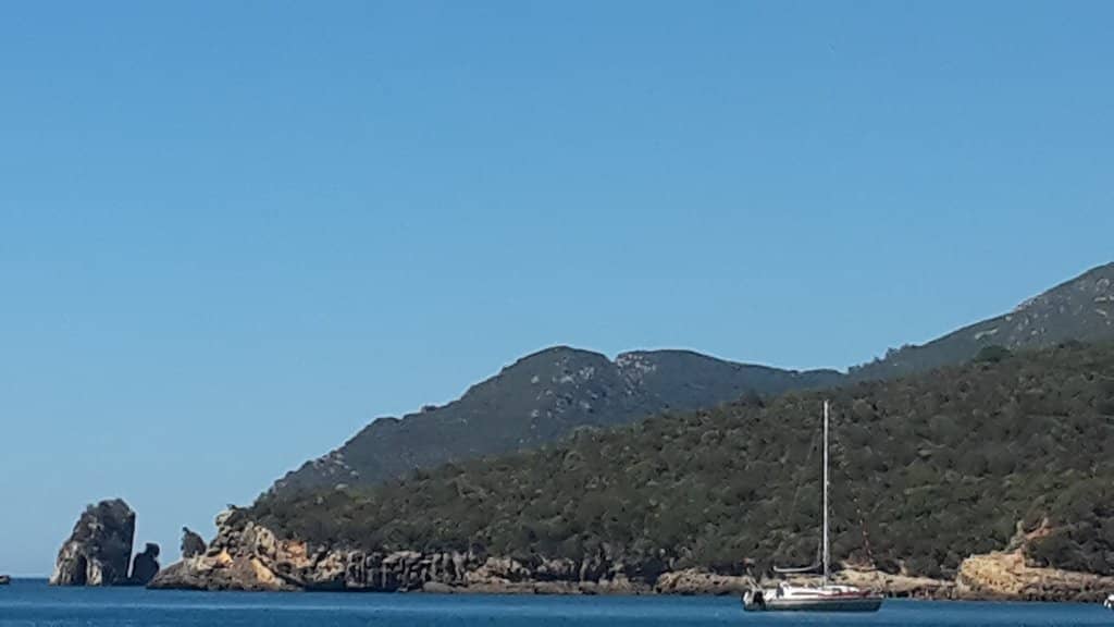 Abundant Marine Life