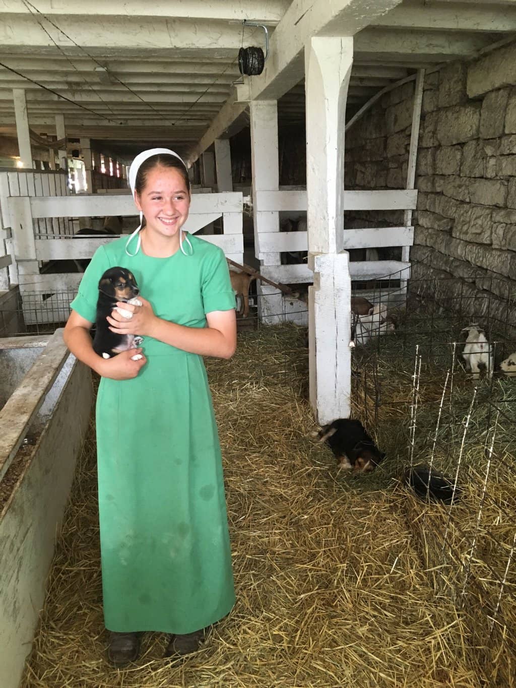 Amish Schoolhouse Experience