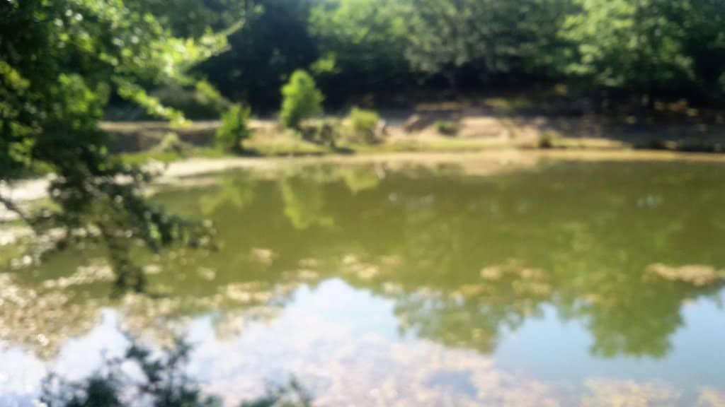 Catafurco Falls