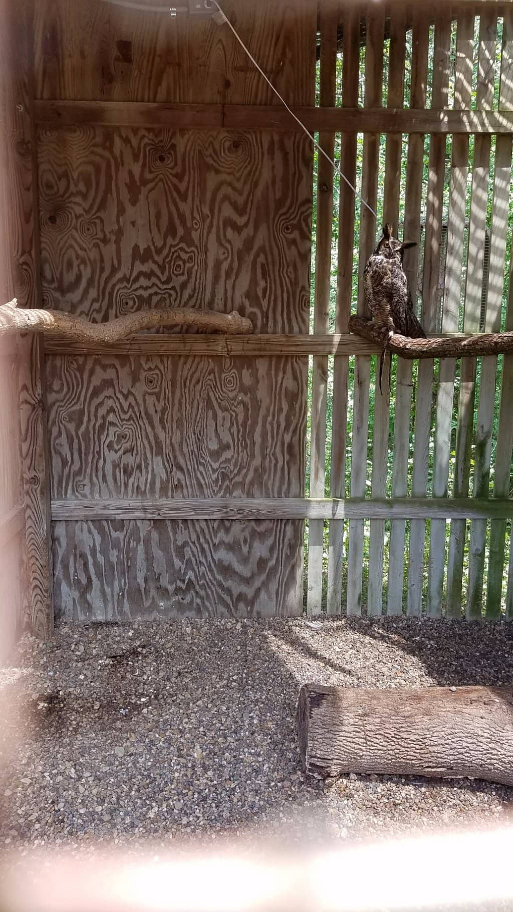 Scenic Hiking Trails