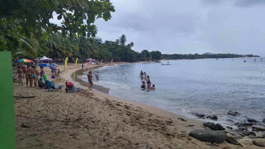 Local Flavors and Music