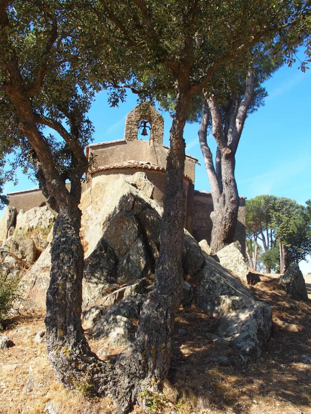 Vertical photo
