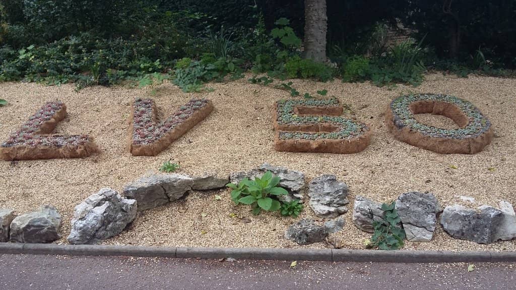 Beautiful Planting