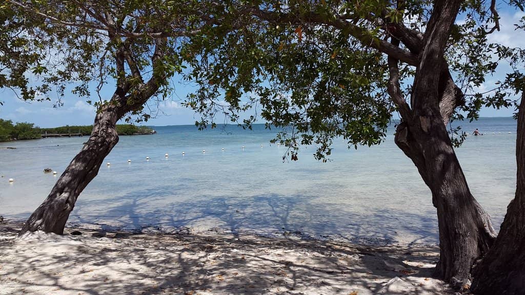 Holiday Light Displays