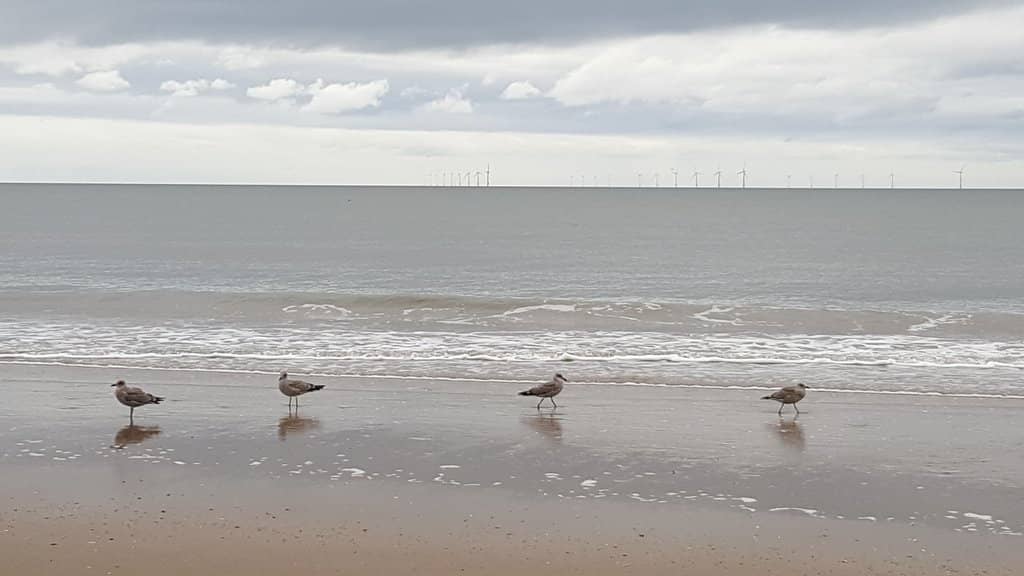 Coastal Walks