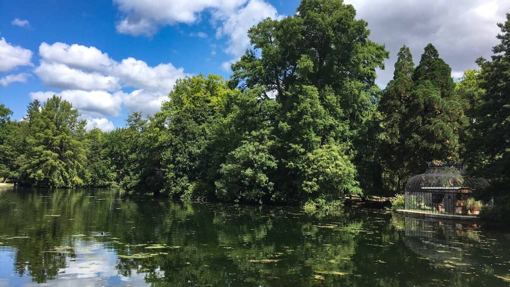 Informative Tree Walk