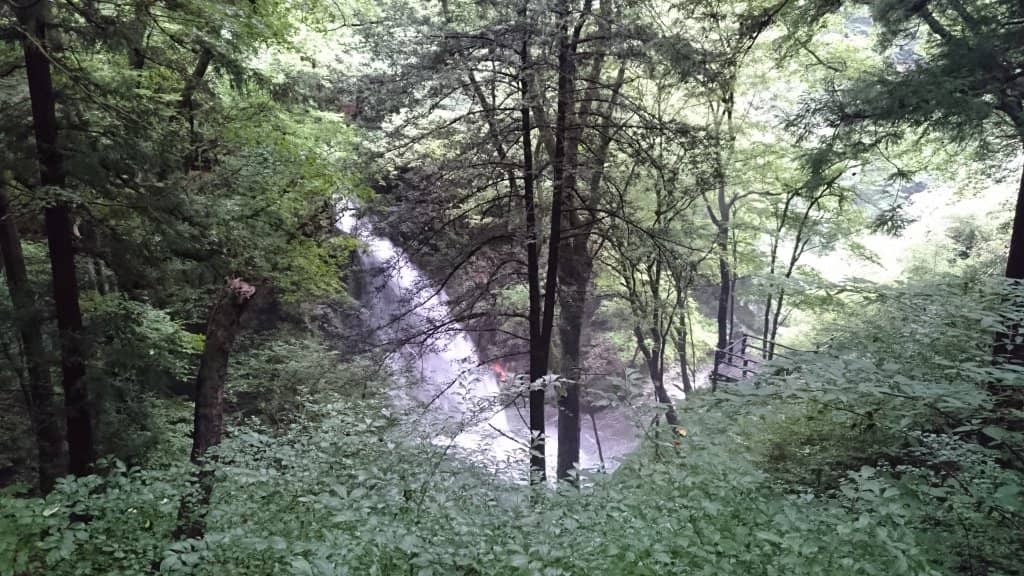 Peaceful Shrine Visit