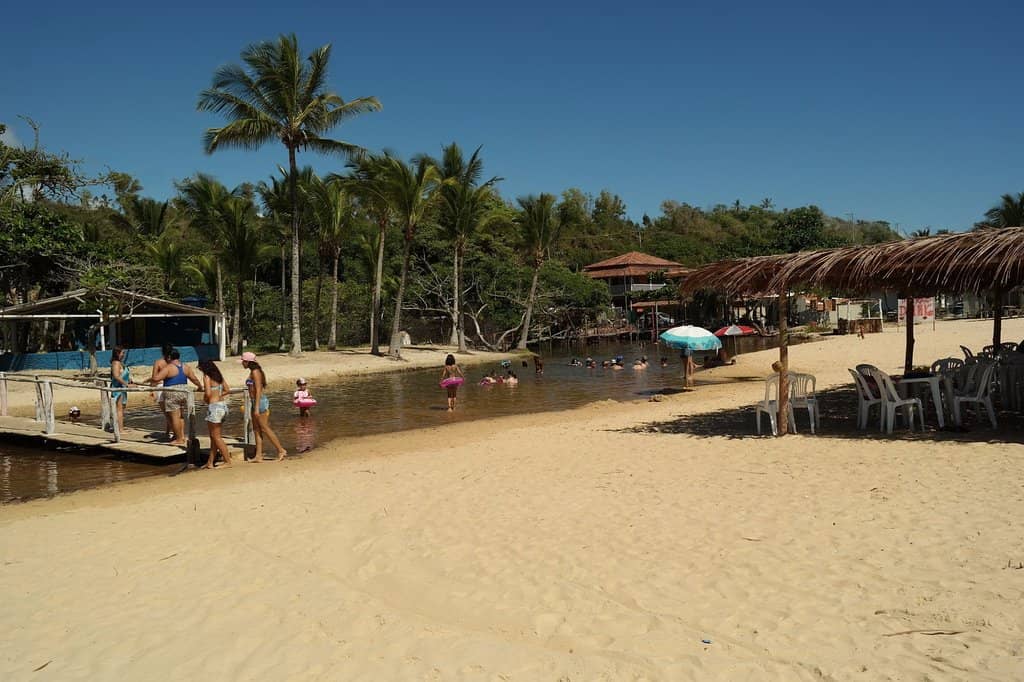 Forest and Cliff Scenery