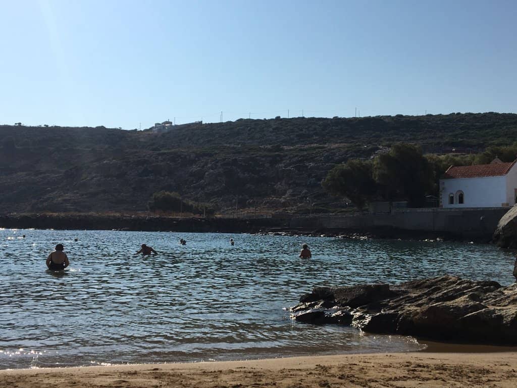 Abundant Marine Life