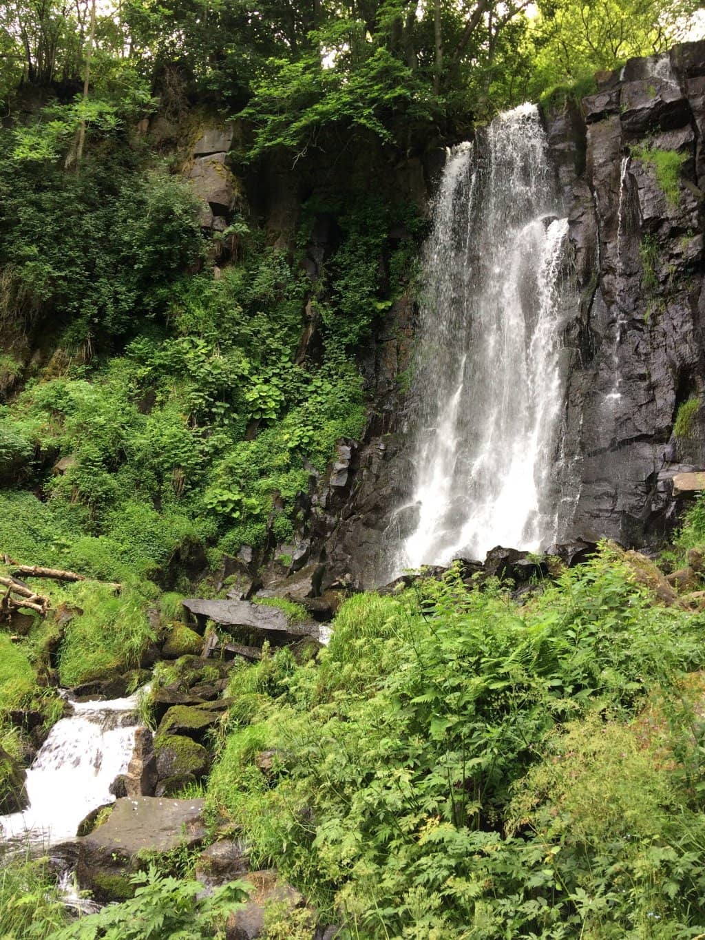 Vertical photo