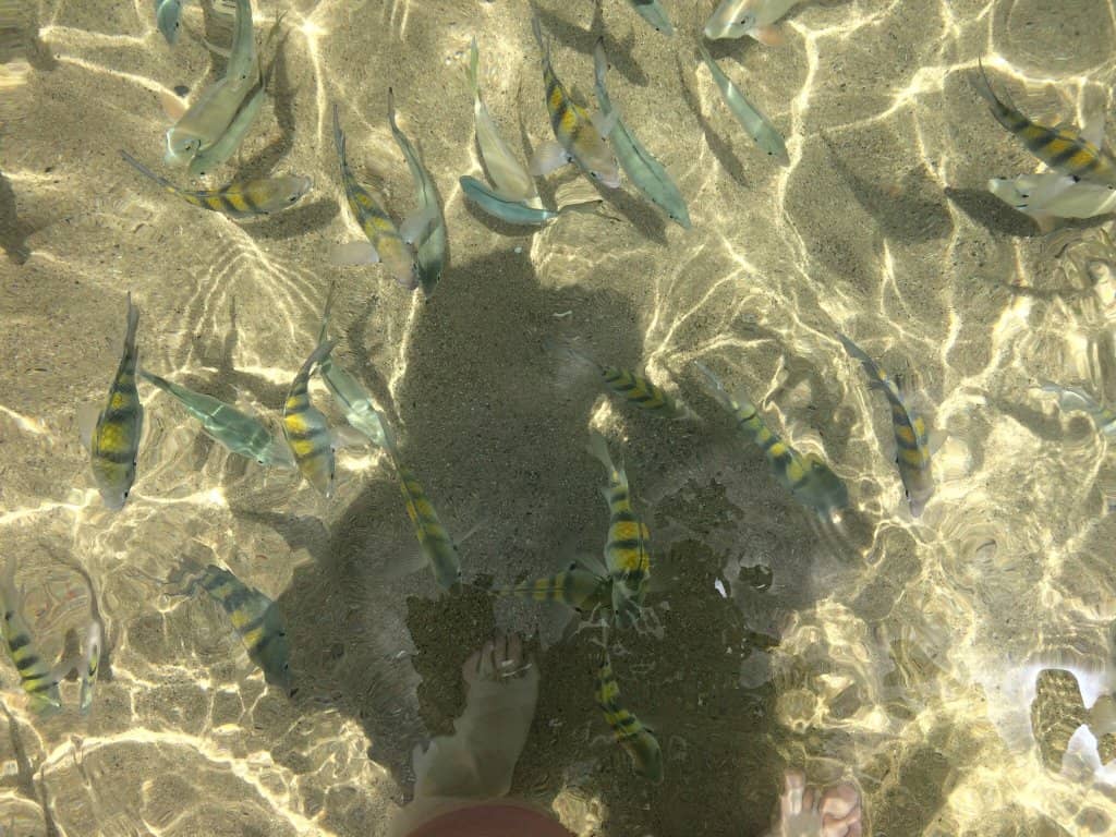 Calm, Protected Waters