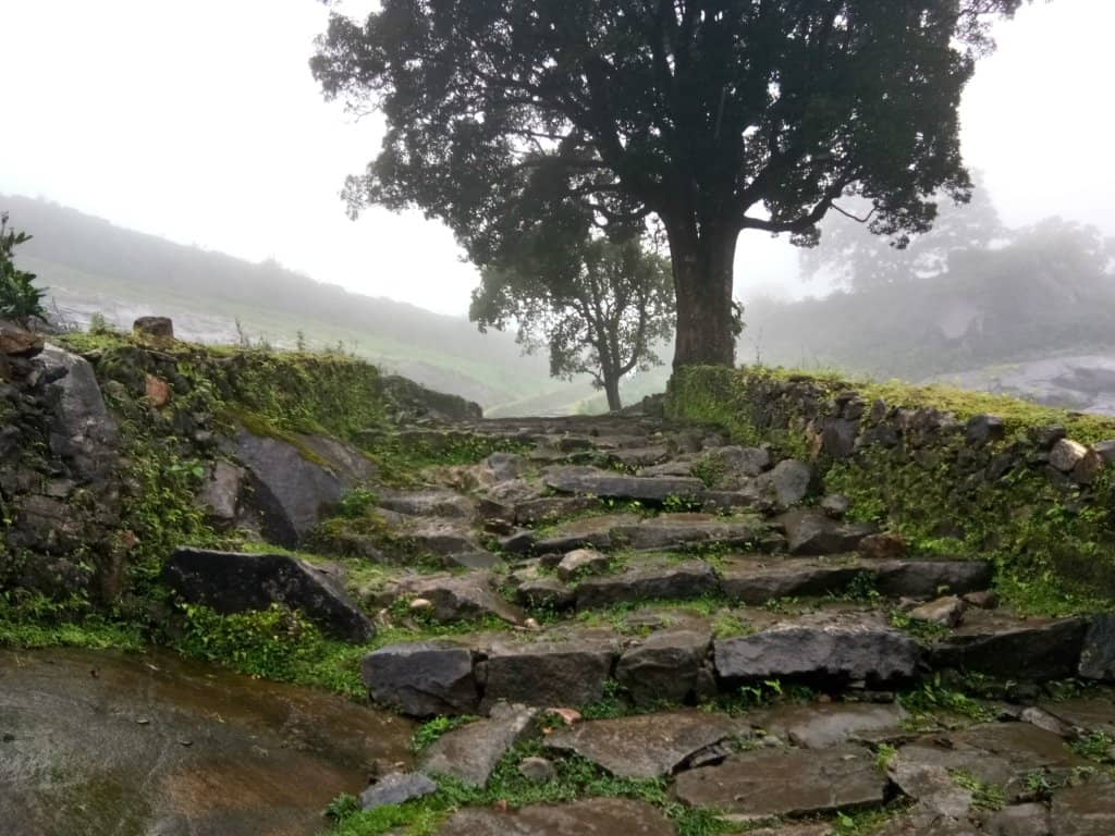 Panoramic Western Ghats Views