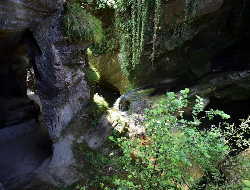 Historical and Ecological Insights