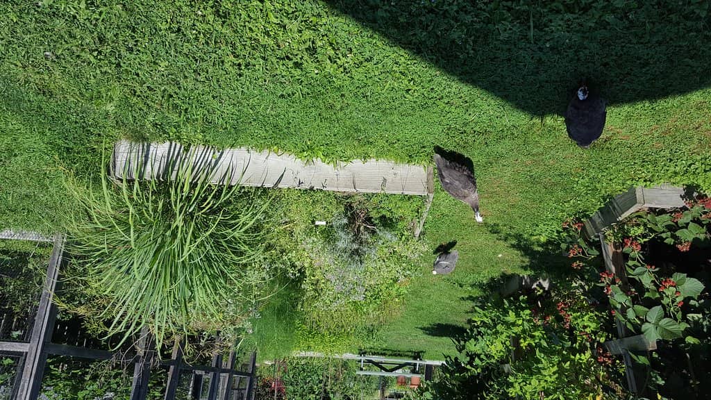 Vertical photo