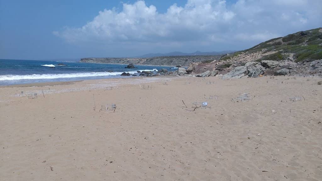 Wild and Peaceful Bay