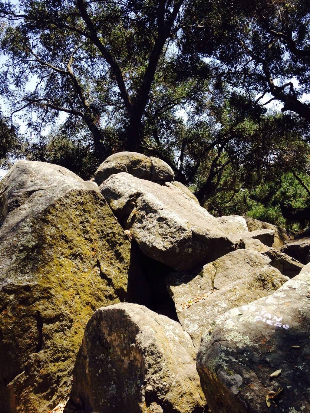Vertical photo