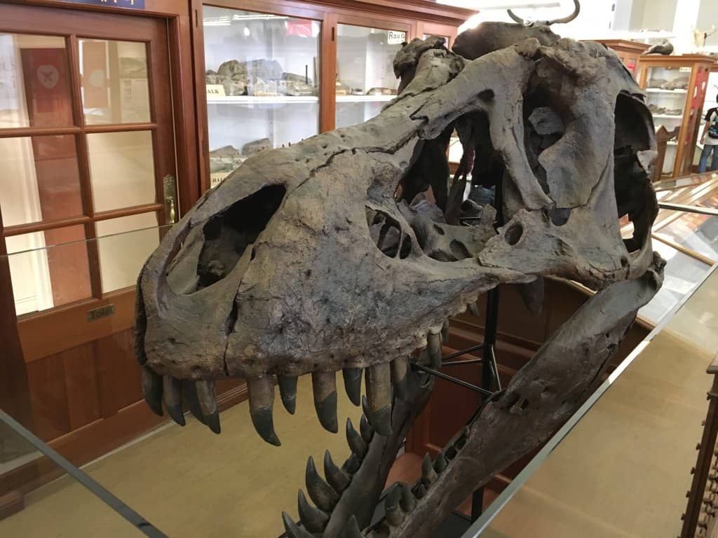 Charles Darwin's Contributions