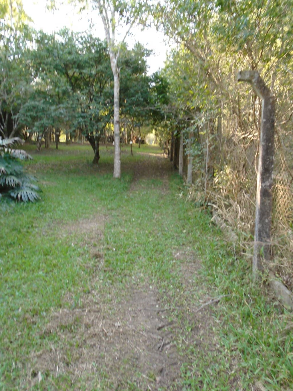 Sculptures and Art Installations