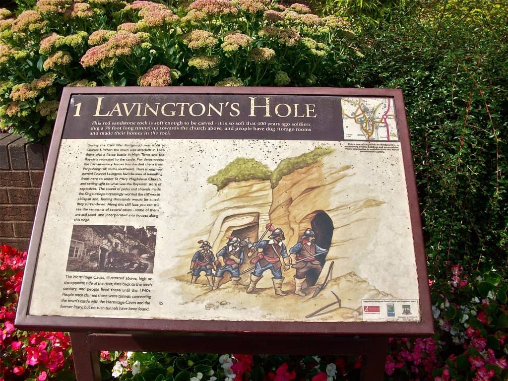 Picturesque Landscape