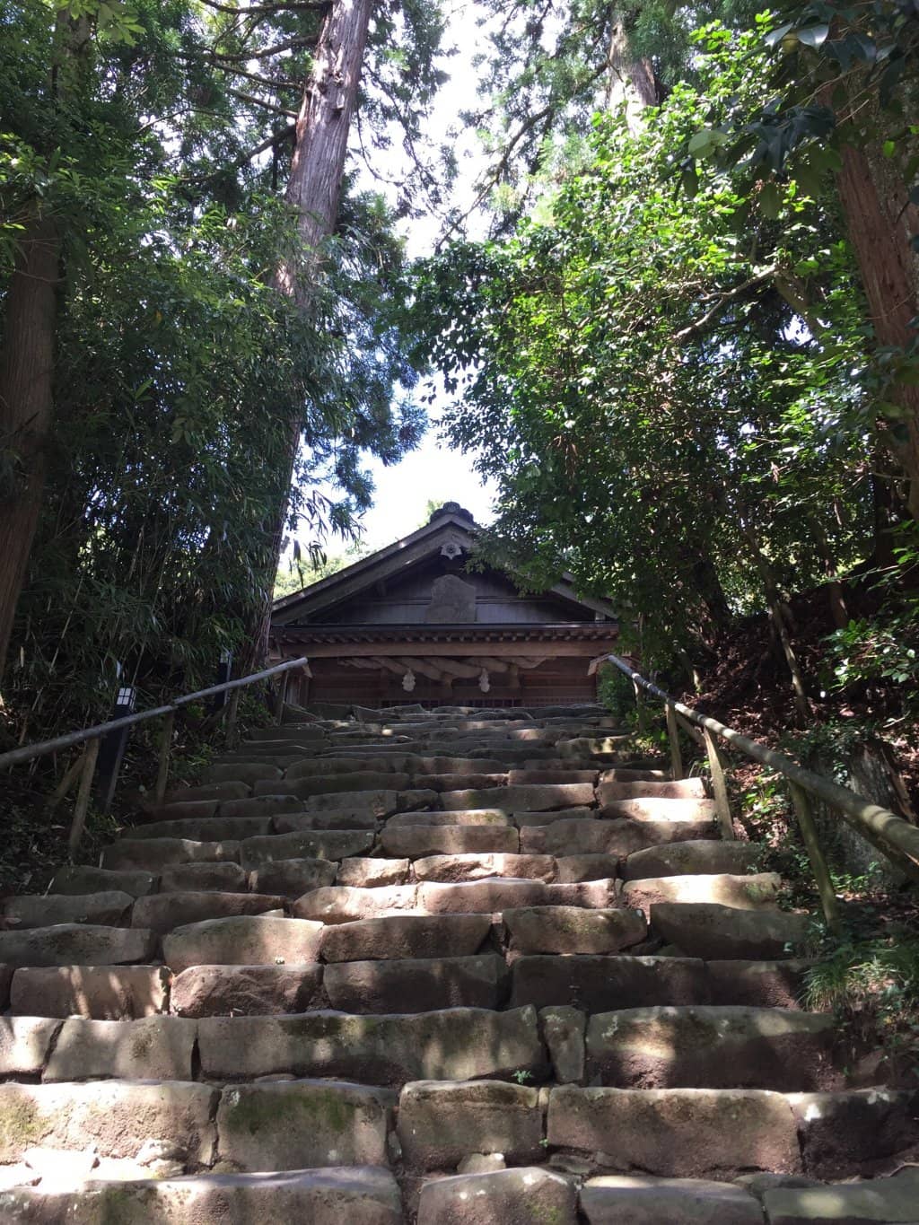 Vertical photo
