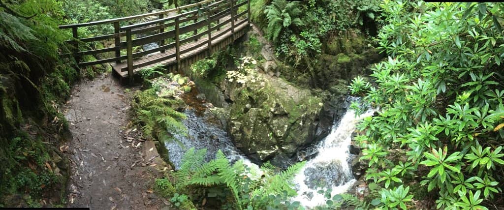 Wild Swimming Spot