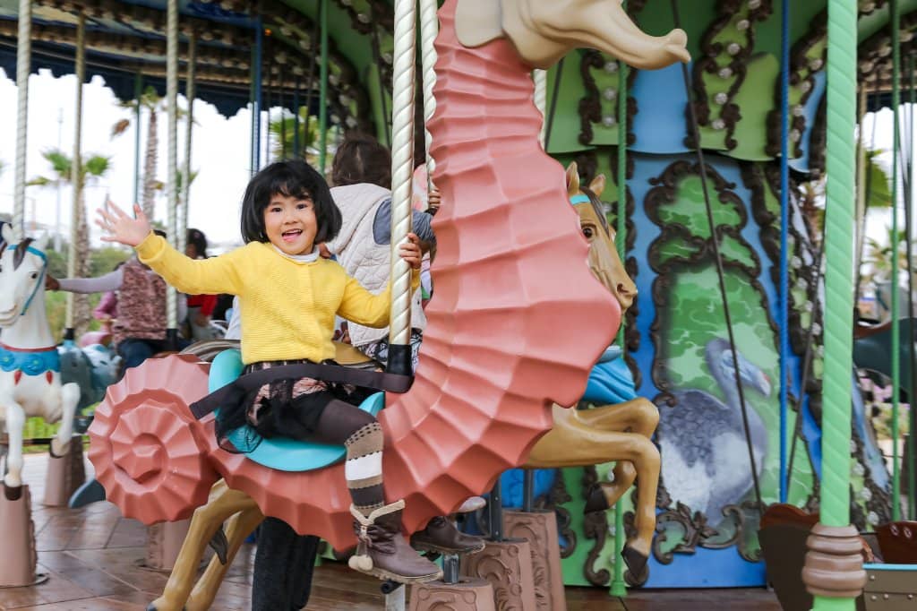 The Serpent Roller Coaster