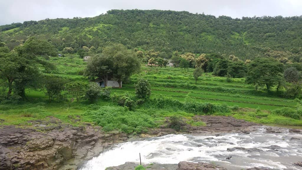 Botanical Diversity & Bird Sanctuary