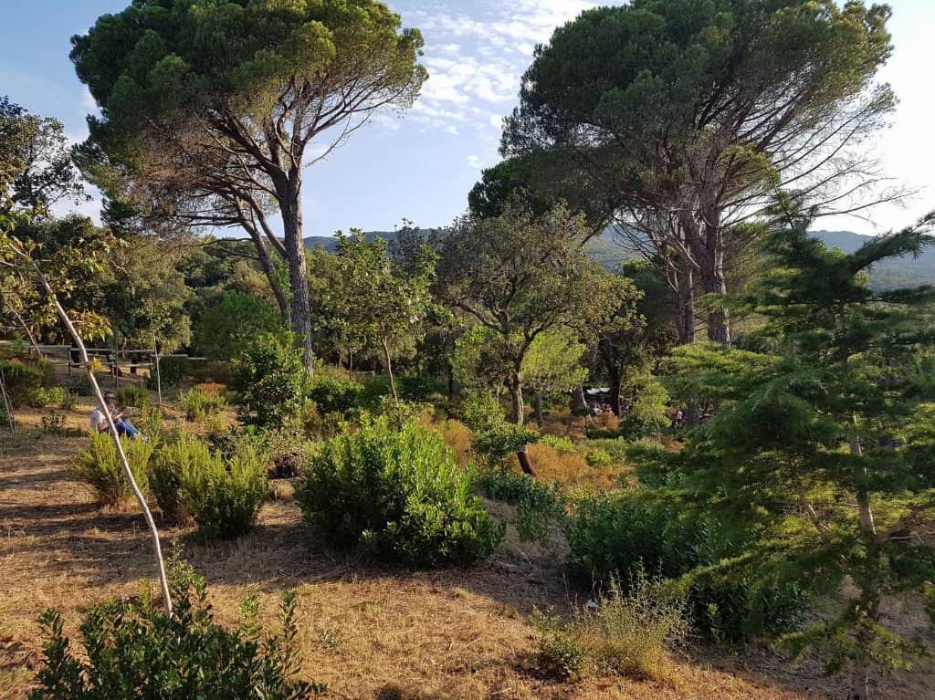 Botanical Gardens