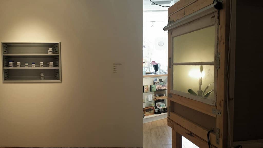 Curated Gift Shop