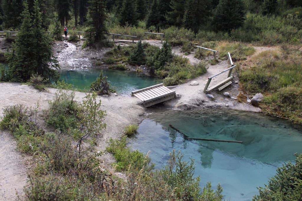 The Mesmerizing Ink Pots