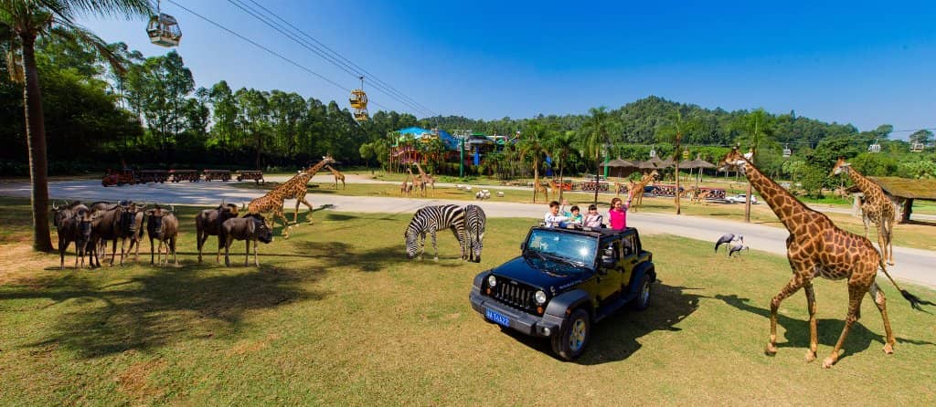 Safari Train Tour