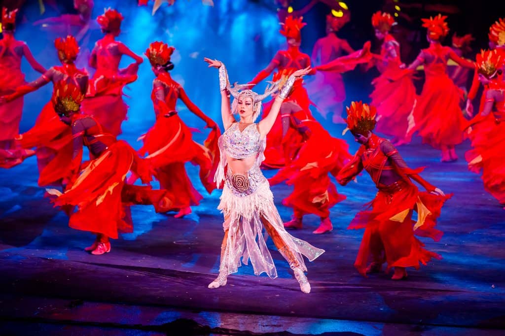 World-Class Acrobatic Performances