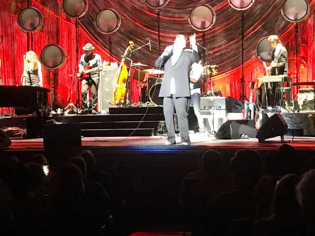 Intimate Concert Atmosphere